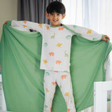 Dino Dreams Cloud Blanket