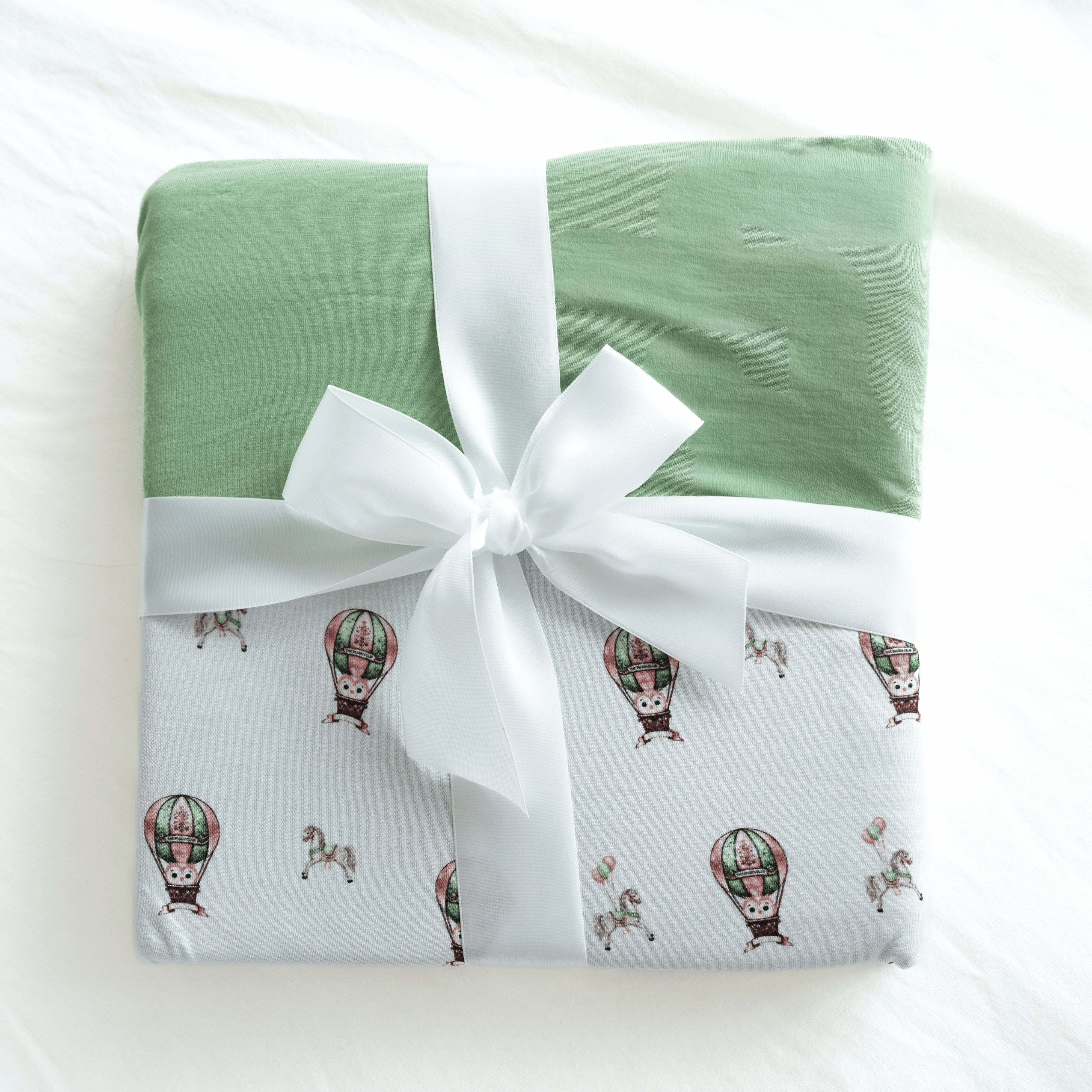 Owl Voyage Cloud Blanket