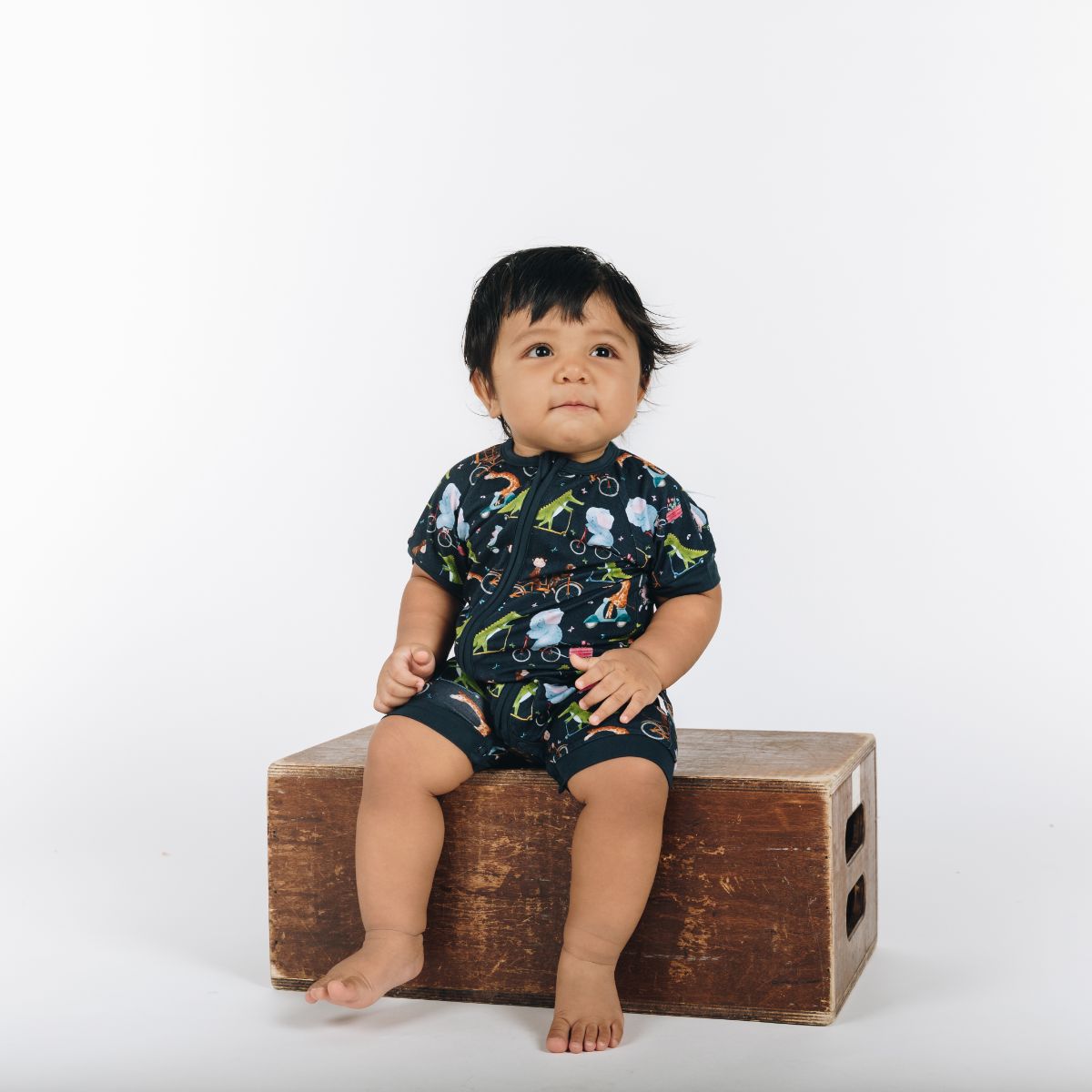 Signature Blue & Jet Set Go & Cycle Safari Half Sleeves Zipper Rompers combo