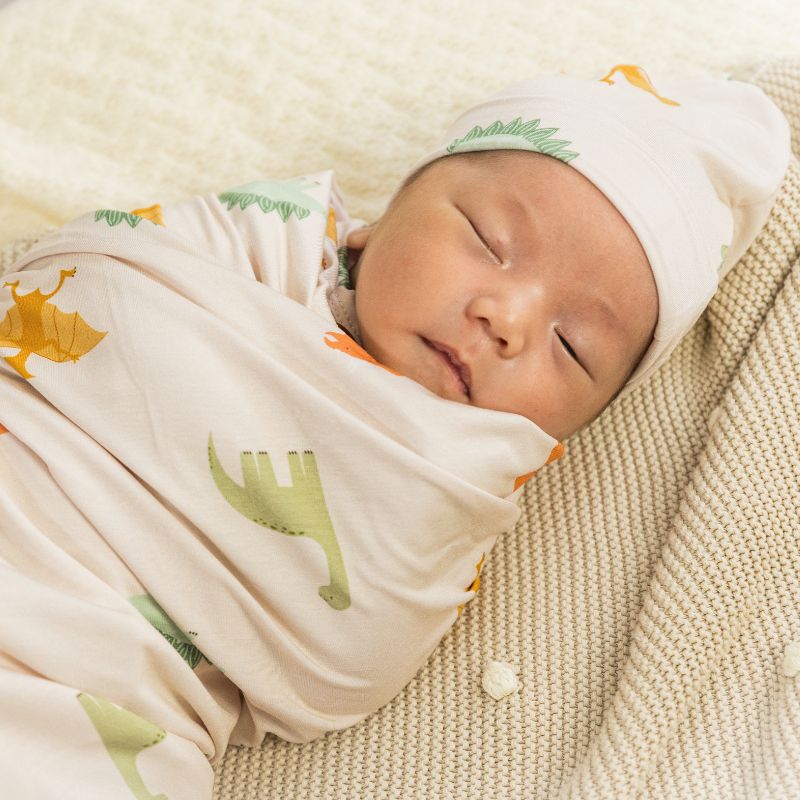 Dino Dreams Swaddle Set