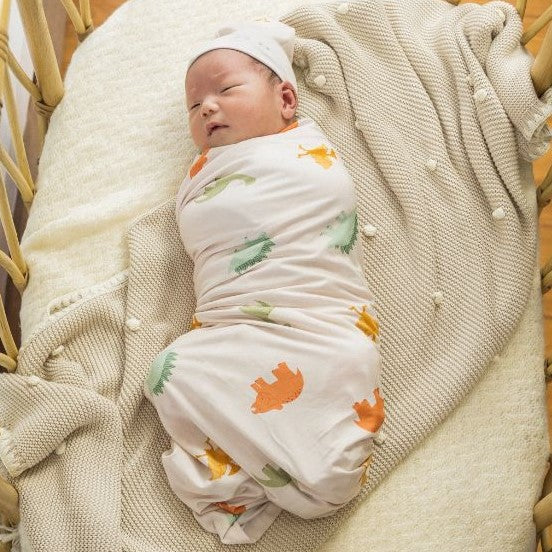 Dino Dreams Swaddle Set