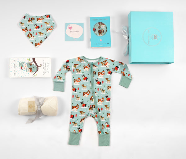 HOSPITAL TO HOME BABY BOY GIFT SET - Puppy Love Blue