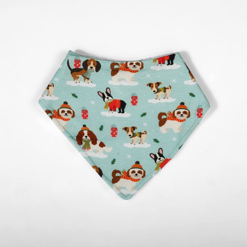 HOSPITAL TO HOME BABY BOY GIFT SET - Puppy Love Blue