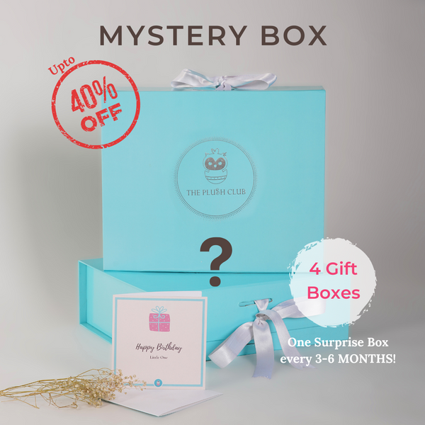 Mystery Gift Box Subscription (4 Gift Boxes in 1 Year) - up to 40% off