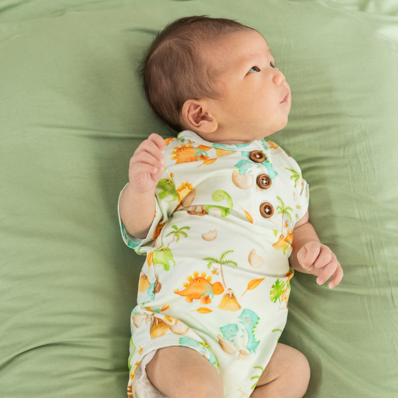 Dino World Onesie