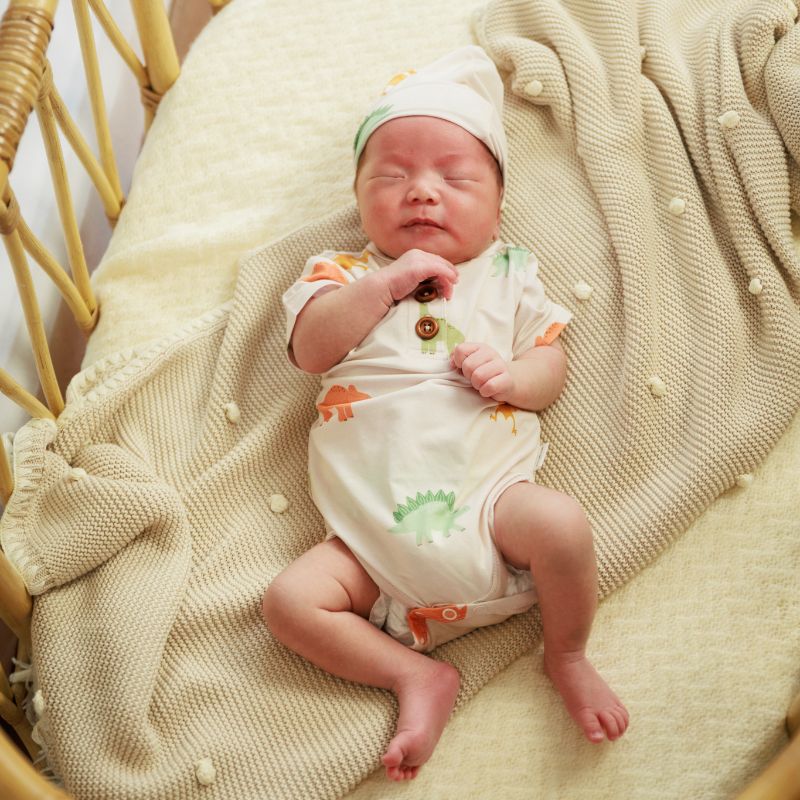 Dino Dreams Bodysuit Onesie