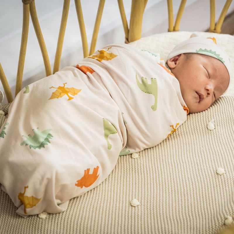Dino Dreams Swaddle Set