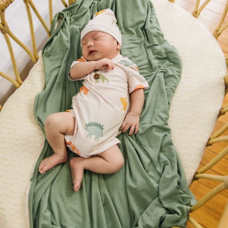 Dino Dreams Bodysuit Onesie