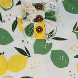 Lemon Angel with Buttons & Frills |PJ Set