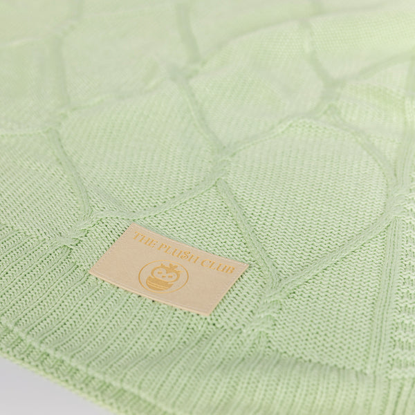 Pistachio Organic Bamboo Knit Blanket